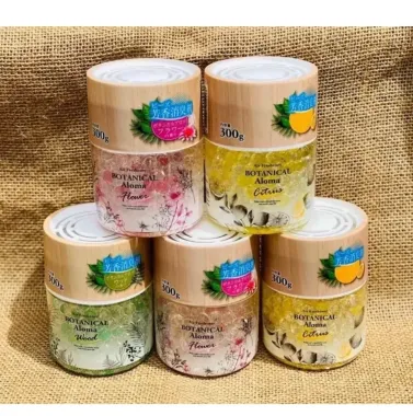 Hộp khử mùi thơm phòng Botanical Aroma 300g – Chiết xuất thực vật, khử mùi & lưu hương tự nhiên