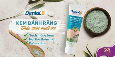 Kem đánh răng thảo dược muối tre Dental B 120g – Giải pháp chăm sóc nướu và làm sạch răng miệng từ Hàn Quốc